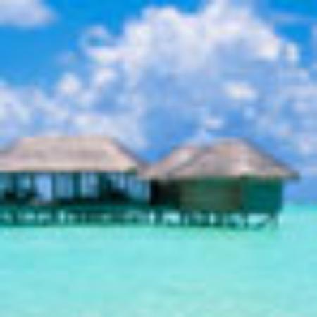 Shree Shree Villa & Ram Ram Cafe